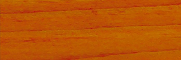 барбарис.jpg барбарис.jpg